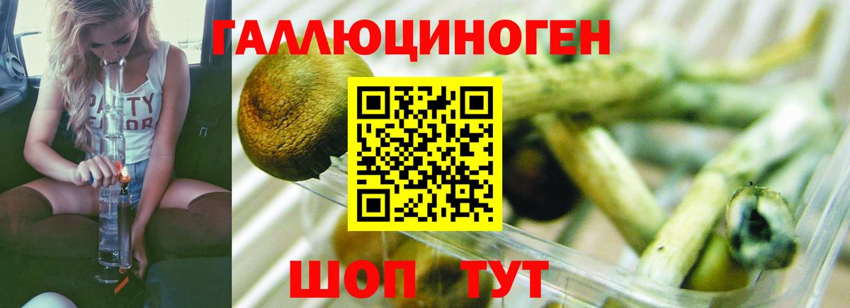 Псилоцибиновые грибы MAGIC MUSHROOMS  Вход с VPN  Калуга  Псилоцибиновые грибы прущие грибы 